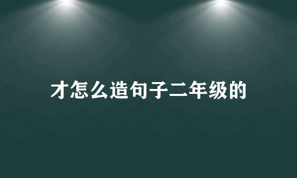 才怎么造句子二年级的