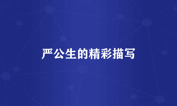 严公生的精彩描写