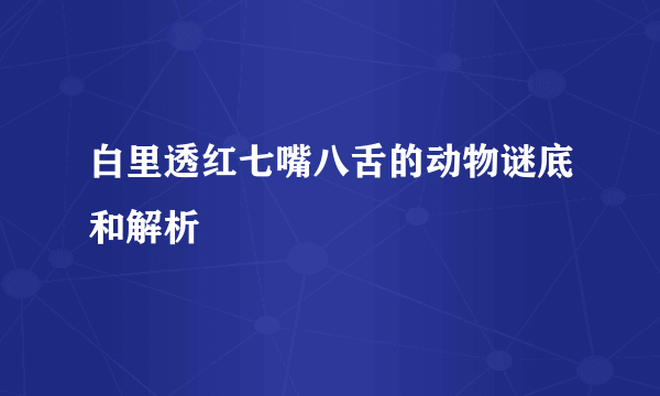 白里透红七嘴八舌的动物谜底和解析