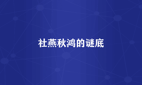 社燕秋鸿的谜底