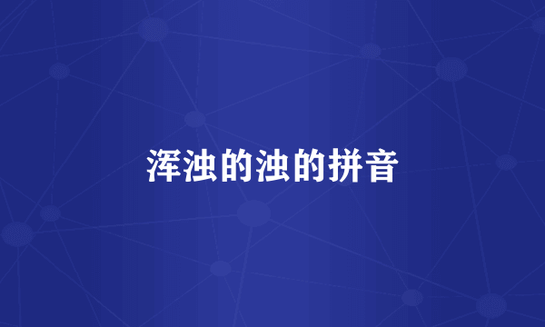 浑浊的浊的拼音