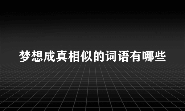 梦想成真相似的词语有哪些