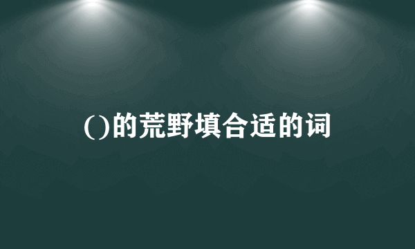 ()的荒野填合适的词