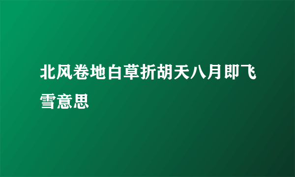 北风卷地白草折胡天八月即飞雪意思