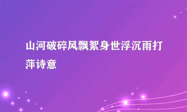 山河破碎风飘絮身世浮沉雨打萍诗意