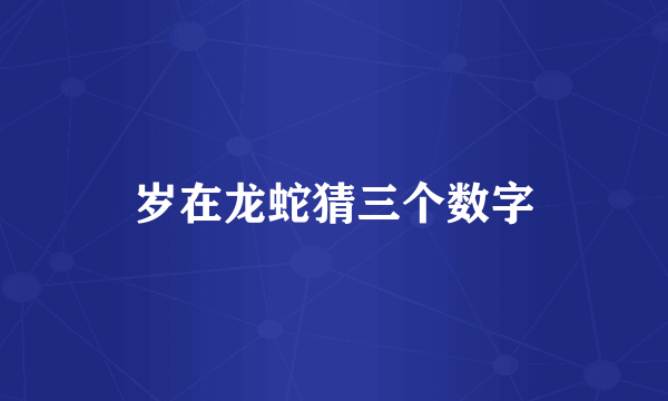 岁在龙蛇猜三个数字