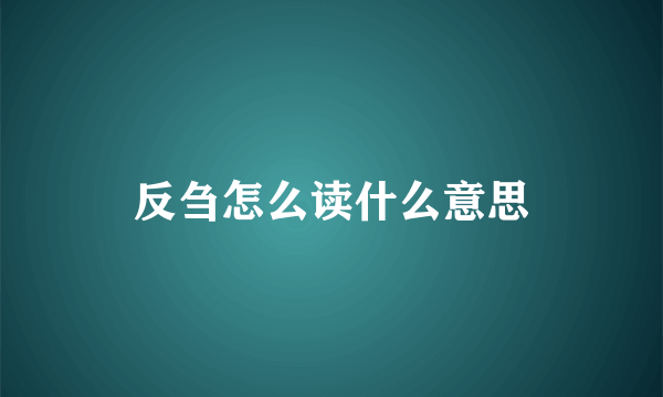 反刍怎么读什么意思