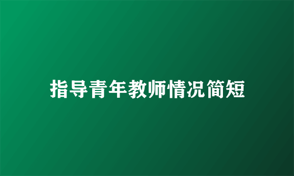 指导青年教师情况简短