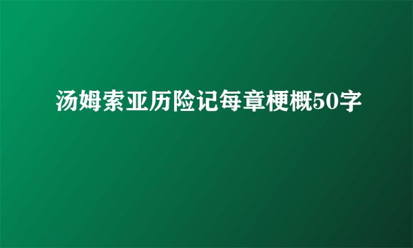 汤姆索亚历险记每章梗概50字