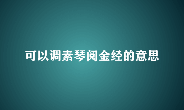 可以调素琴阅金经的意思