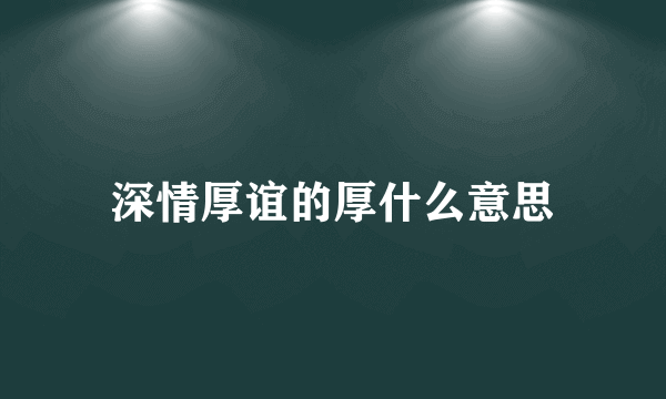 深情厚谊的厚什么意思