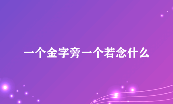一个金字旁一个若念什么