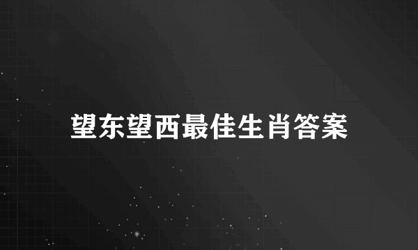 望东望西最佳生肖答案