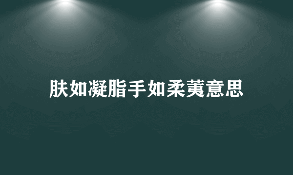肤如凝脂手如柔荑意思