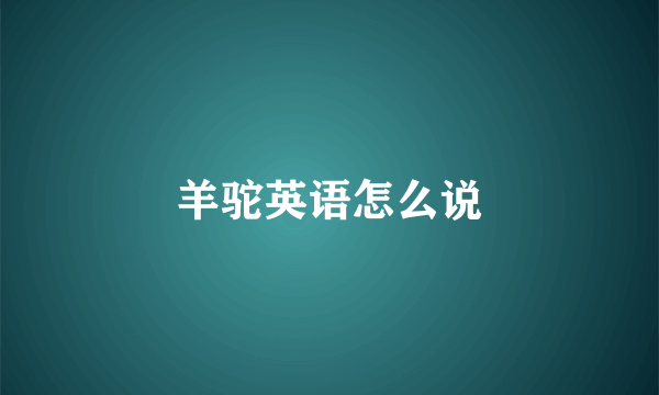 羊驼英语怎么说