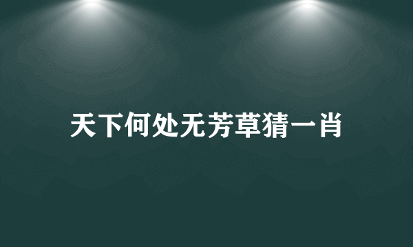 天下何处无芳草猜一肖