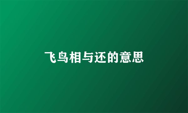 飞鸟相与还的意思