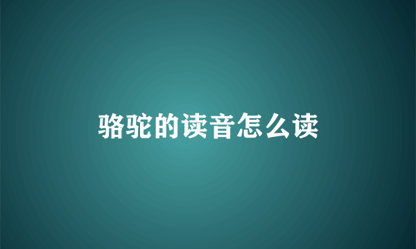 骆驼的读音怎么读