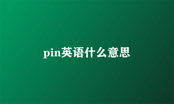 pin英语什么意思