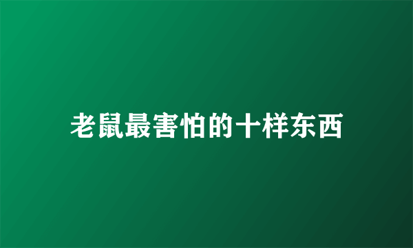 老鼠最害怕的十样东西