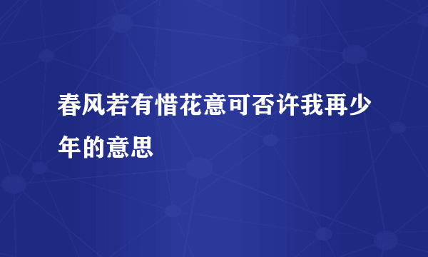 春风若有惜花意可否许我再少年的意思
