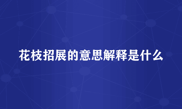 花枝招展的意思解释是什么