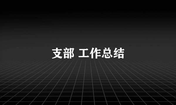支部 工作总结