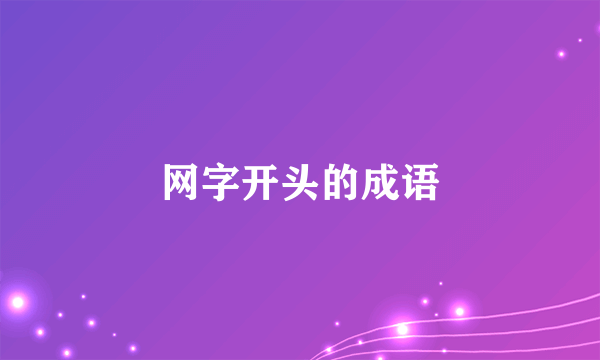网字开头的成语