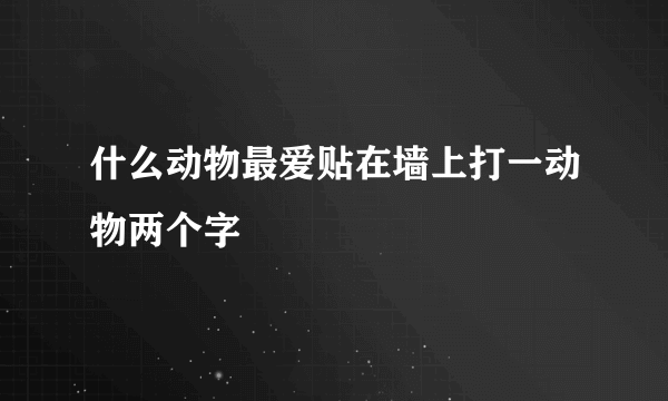 什么动物最爱贴在墙上打一动物两个字