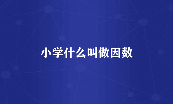 小学什么叫做因数