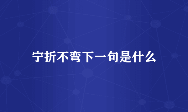 宁折不弯下一句是什么