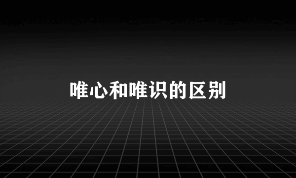 唯心和唯识的区别