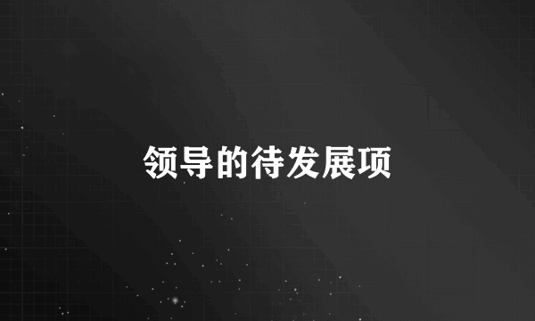 领导的待发展项