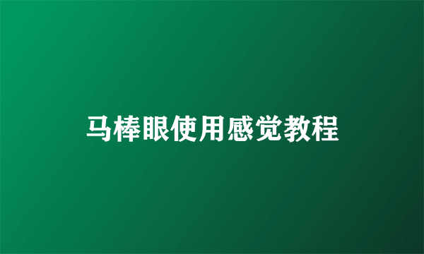 马棒眼使用感觉教程