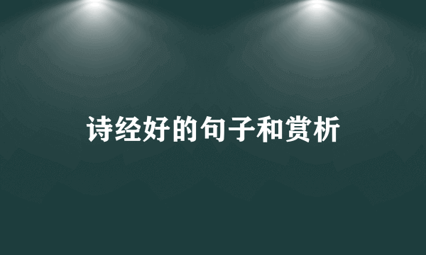 诗经好的句子和赏析