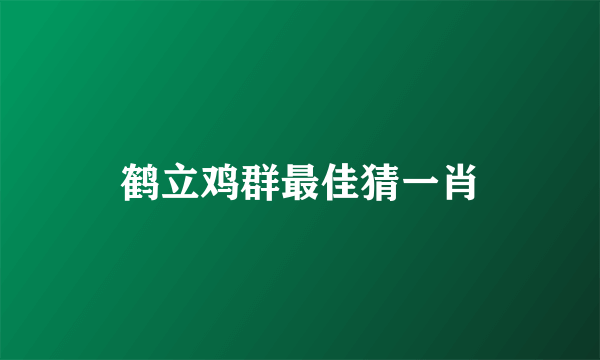 鹤立鸡群最佳猜一肖