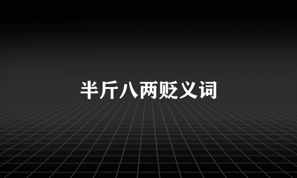 半斤八两贬义词