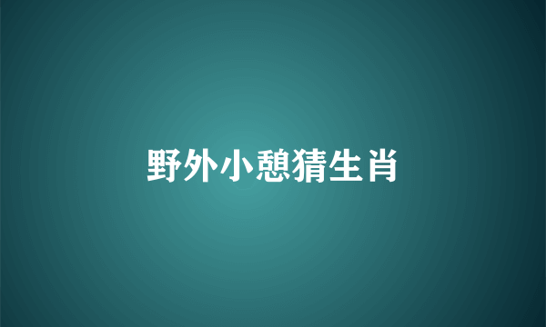 野外小憩猜生肖