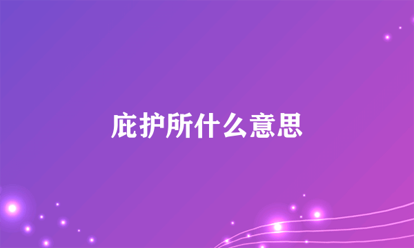 庇护所什么意思