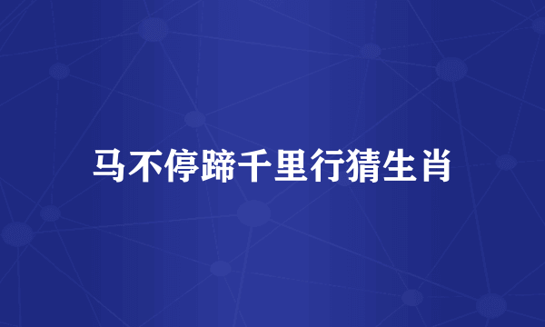 马不停蹄千里行猜生肖