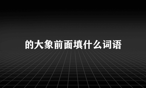 的大象前面填什么词语