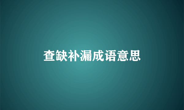 查缺补漏成语意思