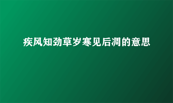 疾风知劲草岁寒见后凋的意思