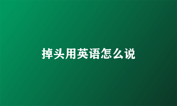 掉头用英语怎么说