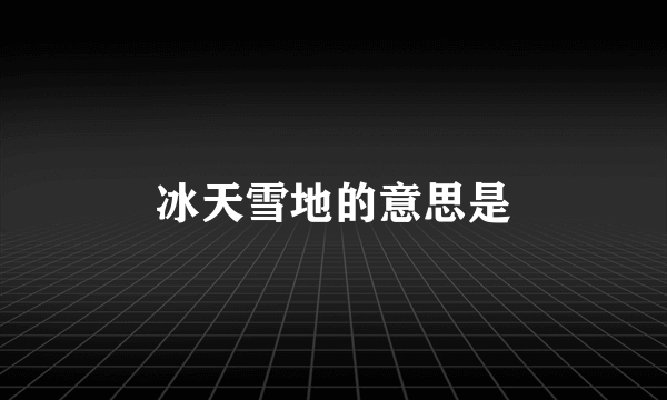 冰天雪地的意思是