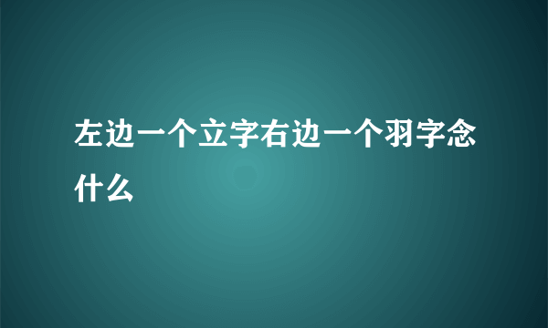 左边一个立字右边一个羽字念什么
