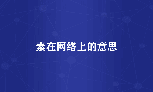 素在网络上的意思
