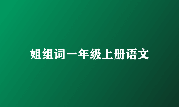 姐组词一年级上册语文