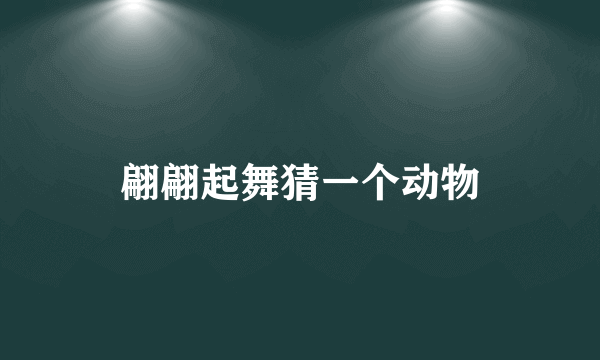 翩翩起舞猜一个动物