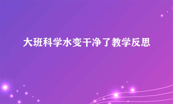 大班科学水变干净了教学反思